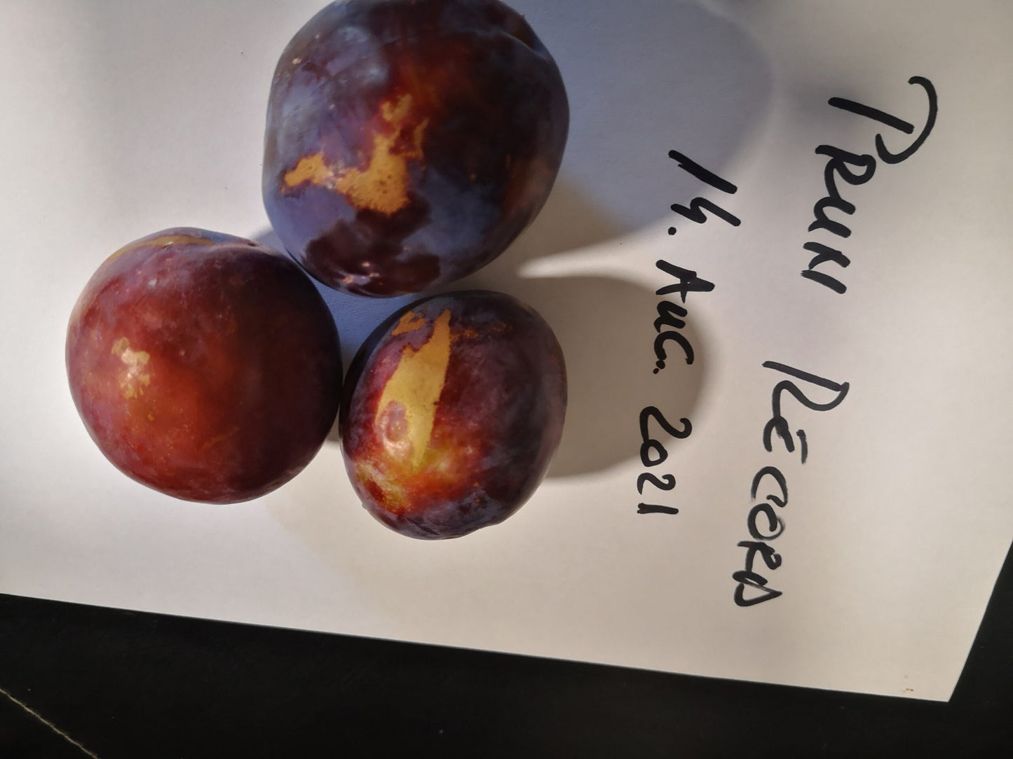 Prun soiul Record - ( Pomi standard ramificatii cresteri libere )